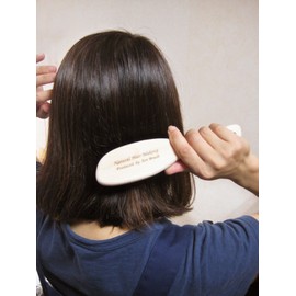 Art Brush, Boar Bristle, Hair Brush