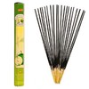 NEW: HEM "GREEN APPLE" HEXA INCENSE STICKS, 6 PACKS X