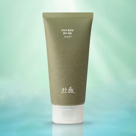 Hanyul Artemisia Cleansing Absorption Pack Foam 120ml / 한율 어린쑥 클렌징 흡착 팩 폼 120ml