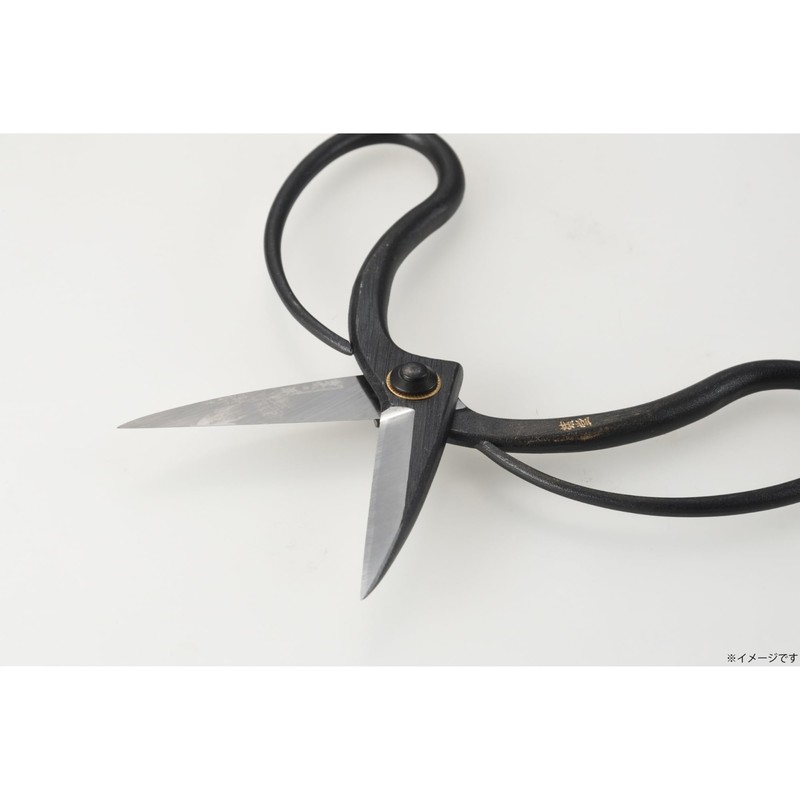 Takagi Kikudo Long Blade Okyuho Shears, Steel Included, 7.9 inches
