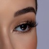 House of Lashes - Show Off 1 Pack