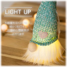 Devalier Tomte Christmas Scandinavian Fairy Glowing Santa Claus Stylish Interior Christmas Ornament Room Accent Decoration Yurt Tomte (Green)