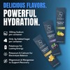 EVOLV Electrolytes Powder Packets – Electrolyte Packets with Palatinose, Sodium
