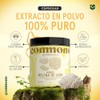 COMMONS Hongo Melena de León Lions Mane Suplemento Natural