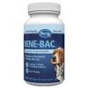 Beanie bag pet plus nutritional supplement, 127g, intestinal health lactic acid bacteria, 1 pc / 비니백 반려동물 플러스 영양제, 127g, 장건강유산균, 1개