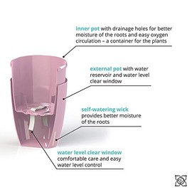 Gardenera 4.9" ORCHIDEA Self Watering Pots for Orchids in Transparent (Set of 3) - Decorative Wicking Planter with w/Great Aerification, Drainage and Water Level Indicator