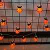 FAc3may 1pcs LED Ladybug String Light, 4.92ft/1.5m Battery Powered Red