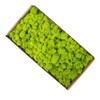 Preserved Moss Gardenning Art Wall Decor Moss Bulk Micro Landscape