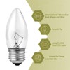 40W Incandescent Chandelier Bulbs - Crystal Clear, Torpedo Tip, Medium