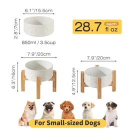 2 Pack Elevated Ceramic Dog Bowls, 6.1 inch Raised Dog Bowl with 2-Height Adjustable Stand for Small Dogs, Reducing Neck Strain (Double Bowls + Double Stands - White, 6 inch)