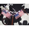 Showman American Flag Fringed Headstall & Breast Collar Set w/Reins!