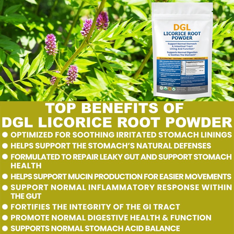 DGL Licorice Extract Powder Digestive Restoration Leaky Gut Repair 2-Pack