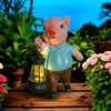 JIAOYINZI Garden Pig Gnome with Solar Lantern, Outdoor Decorative Statue