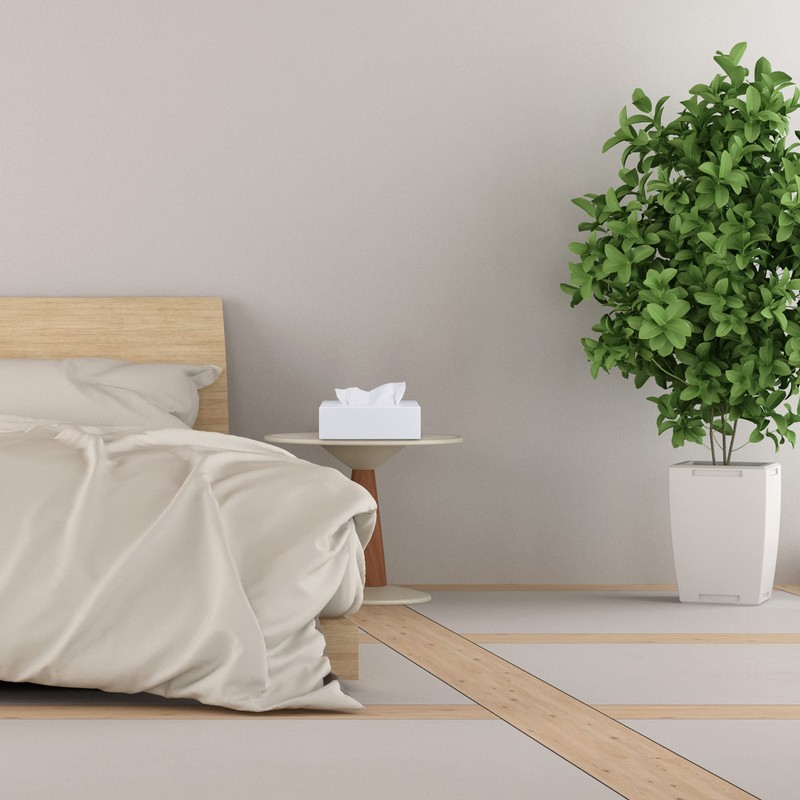 Relaxdays 10023252 Bamboo Tissue Box with Sliding Base, Tissue Box