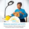 OttLite 2-in-1 ClearSun LED Magnifier Light Floor and Table Lamp