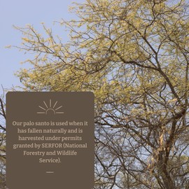 Oxhala - Palo Santo Essential Oil 10ml | 100% Pure and Natural Palo Santo | Sustainably Harvested and Fair Trade | Spiritual Connection and Tranquility