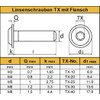 M6 x 25 mm (Pack of 30) Rounded Head Screws