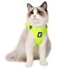 Evel Cat Harness and Leash, Ultra-Light, Escape-Proof, Adjustable, Soft Mesh