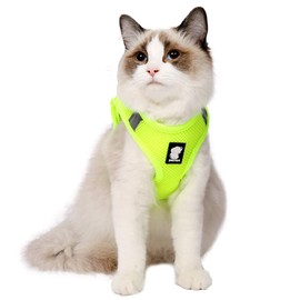 Evel Cat Harness and Leash, Ultra-Light, Escape-Proof, Adjustable, Soft Mesh Fabric, Padded, Running Vest, Jacket for Kittens, Pets, Puppies, XS, Fruit green