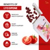 Ved Lycopene 500 mg | 90 softgel, 6 Month Supply.(Pack