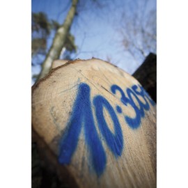 DUPLI-COLOR DUPLI-COLOR Markierungsspray 500 ml, 1 Stck, neonrot,119606