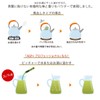 AGF Professional HOUJICHA Tea 10 Pieces Japan