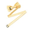 Kids Silk Bow Tie - AWAYTR Adjustable bowties Men Pre-tied