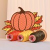 Richword Selected 800M 20 Colors Embroidery Thread,40WT(108D/2) Polyester Embroidery Machine