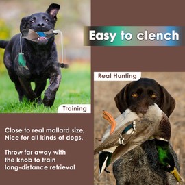 Saillong 2 Pack Dog Training Dummies for Hunting Dogs, Dog Training Toy, Hunting Retriever Dog Training, Floating Dead Fowl Trainer, Foam Pet Dog Interactive Toys(Wild Duck)