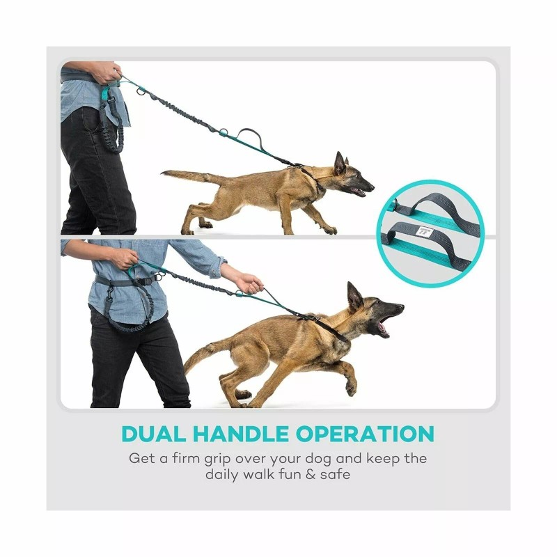 Taotronics Retractable Hands Free Dog Leash with Dual Bungees for