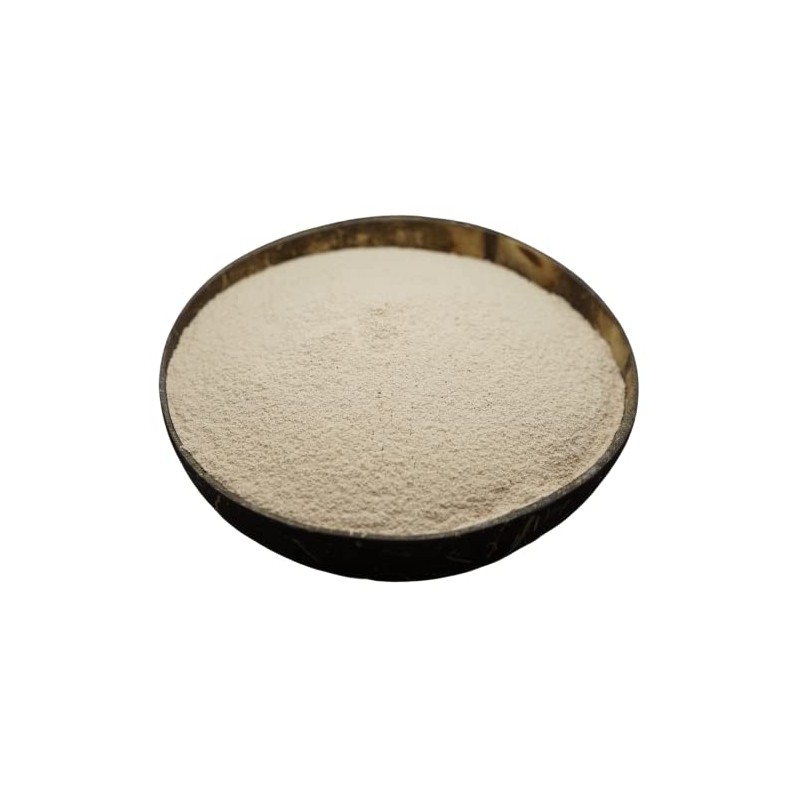 Schusterscheune Food Diatomaceous Earth 500 g Natural Silica for Dietary