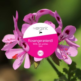 NeoOrganic® Organic Rose Geranium Oil (Pelargonium Graveolens) - 100% Natural Organic Rose Geranium Essential Oil - 10 ml
