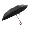 Folding Umbrella 10 Bone UV Protection Auto Open Auto Close