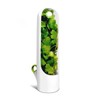 Greensen Transparent Window Herb Saving Container, Fresh Herb Storage for