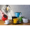 BIA International Infuse Teapot Stainless Steel Infuser | White |