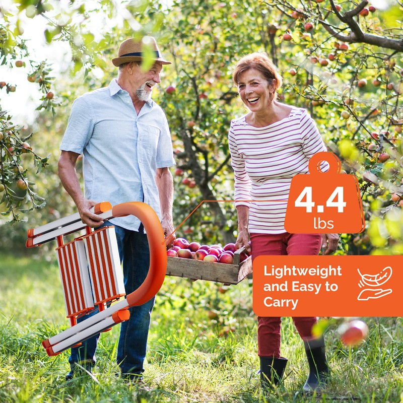 LUISLADDERS 2 Step Ladder Aluminum Lightweight Folding Step Stool Portable