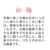 かたりべ 桐箱 ラベンダー・白梅 サック6入