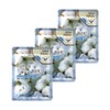 3W close fitting facial dermatology disposable intensive care mask pack fresh aloe 10 sheets 3 sets / 3W 밀착 페이셜 피부과 일회용 집중케어 마스크팩 후레쉬 알로에 10매 3세트