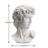 Waldosia 6 Inch Michelangelo's David Bust Statue (White)