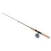 QANYEGN 65cm Ice Fishing Rod, Ice Fishing Rod and Reel