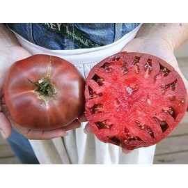 [Mai's Family] Cherokee Purple Heirloom Tomato Seeds Non-GMO (125+ Seeds)