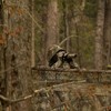 Camo Burlap Blind Material, LOOGU Camo Netting Cover 56 inch