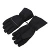 Electric Heating Gloves Waterproof Adjustable Winter Outdoor Sport Warm Keeping