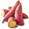 White Fresh Japanese Sweet Potatoes 4lbs