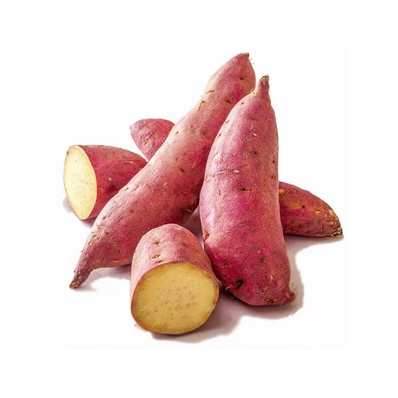 White Fresh Japanese Sweet Potatoes 4lbs