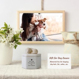 Silkwishes Dog Keepsake Box, Dog Urns for Ashes, Dog Memorial Gifts for Loss of Dog Sympathy Gift, Rainbow Bridge(Ceramic)