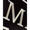 Diamond Etched Products Mr & Mrs Car Tag Set of