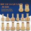 MiJunHD 6X Brass Pipe Fitting 8mm Hose Barb Tail 1/2''