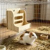 Amonk Wood Guinea Pig Hay Feeder for Cage 7x7x8in Including