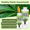 Sago Palm Fertilizer, Complete Liquid Sago Palm Plant Food, 32
